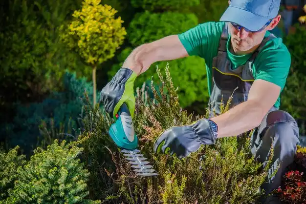 landscaping services North Pembroke